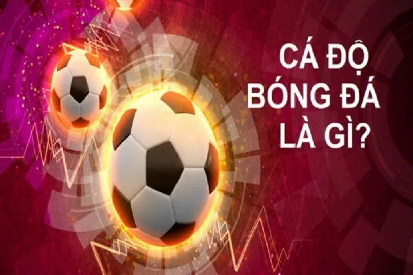 Top game xóc đĩa online uy tín năm 2024 dành cho người chơi Việt