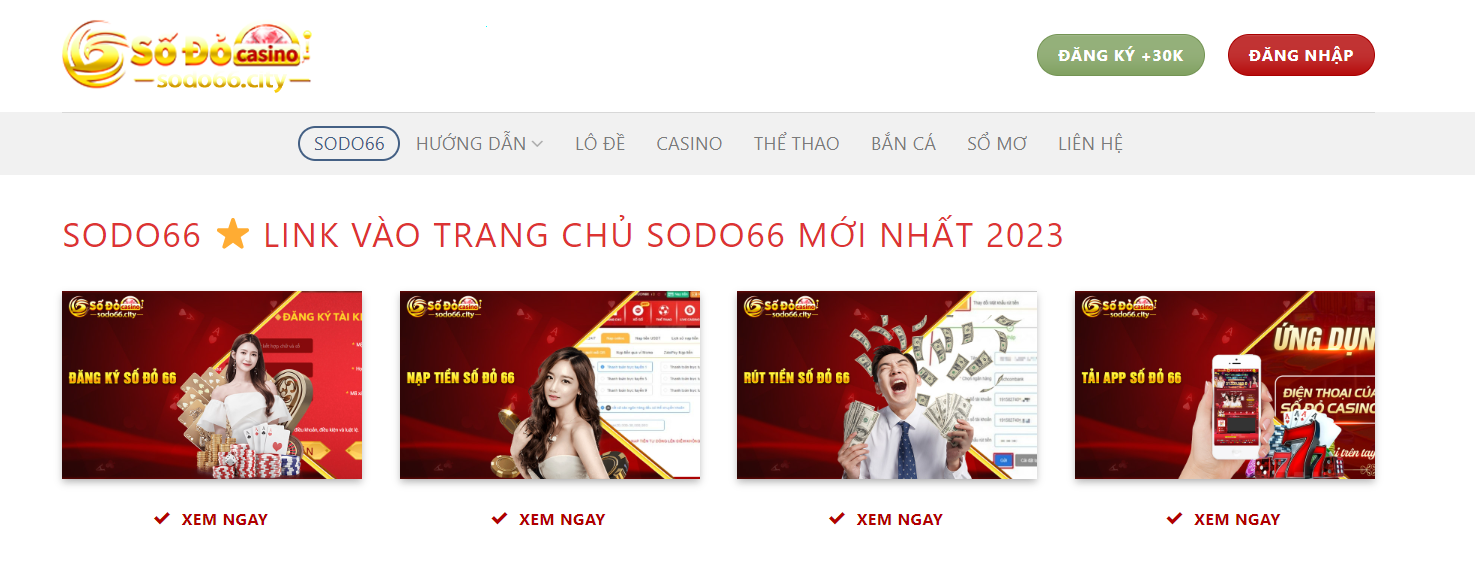 Khám phá bo co ty phu và cách chơi bo co ty phu hiệu quả để thắng lớn