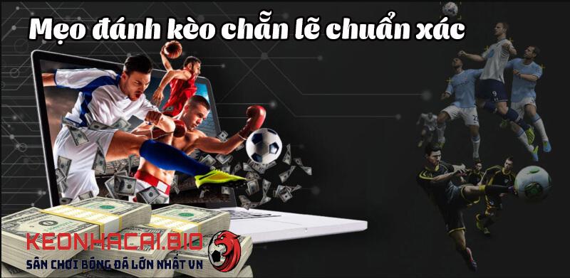 Tìm hiểu về chứng chỉ và các loại chứng chỉ phổ biến hiện nay để phát triển nghề nghiệp vững chắc cùng chứng chỉ uy tín